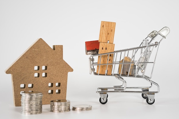 Wood house model in shopping cart and row of coin money on white background