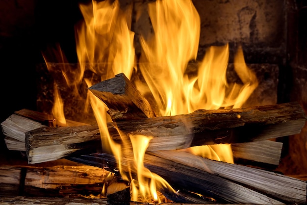 Wood logs burning in a fireplace indoors