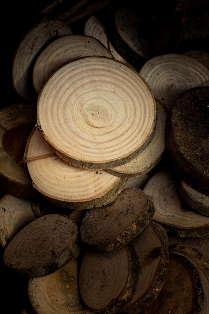 Foto tronchi di legno tagliati in pezzi sottili rotondi