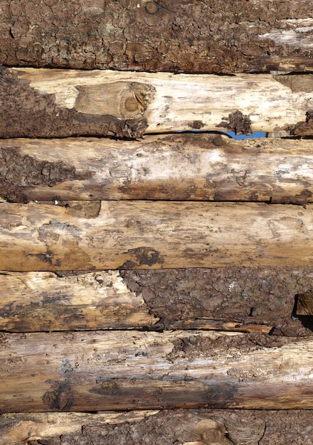 Wood logs texture