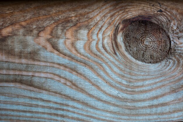 Wood multicolor texture