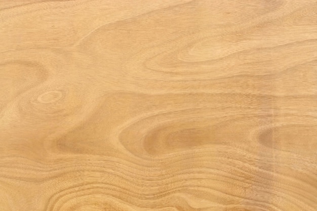 Wood Panel Background