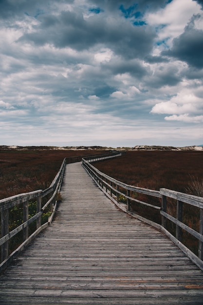 A wood path to the beach