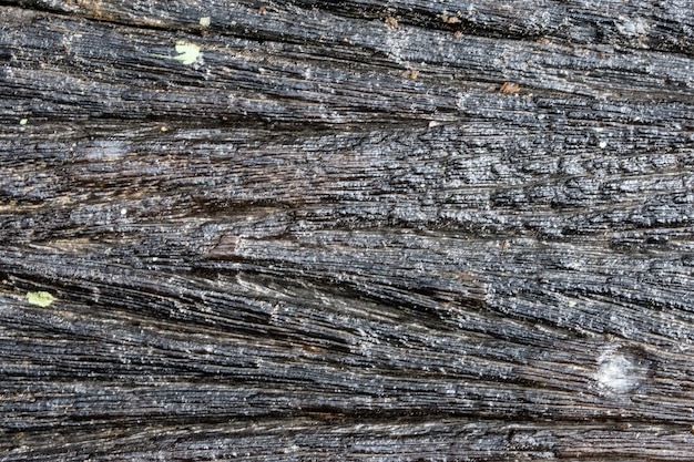 Wood patterned background on space