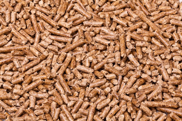 Wood pellet