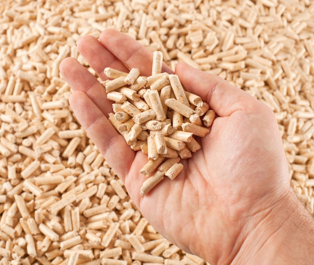 Wood pellets in hand