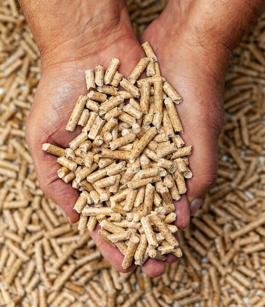 Pellet di legno nelle mani.