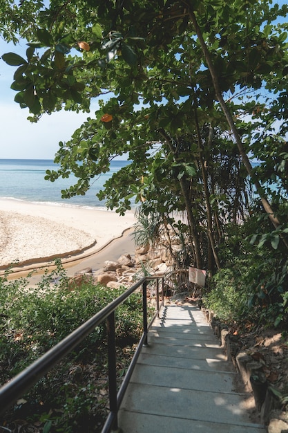 Il ponte del molo di legno sulla spiaggia sul mare.