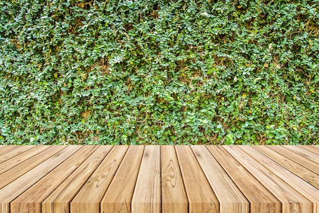 wood plank on creeping fig plant wall