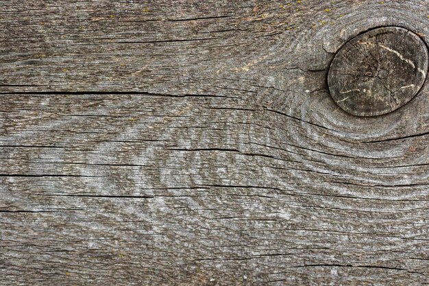 Wood plank texture background closeup and high detailed photo