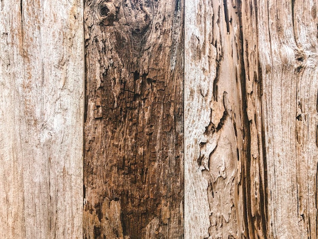 Wood plank texture background in orange color