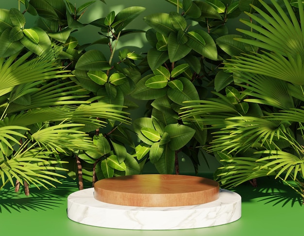 wood Podium display with tropical leaves