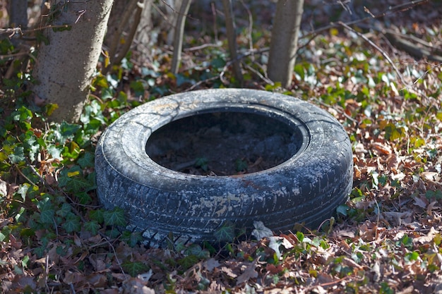 Wood pollution Tire