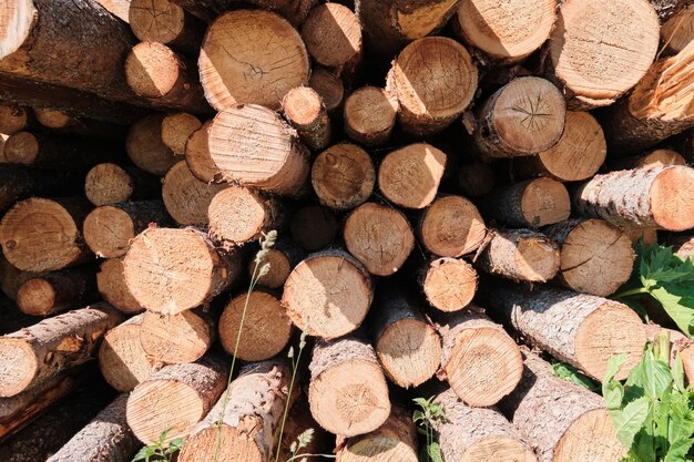 Wood processing industry