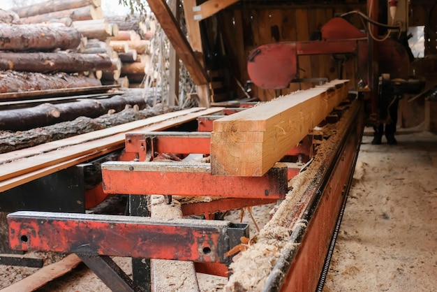 Wood processing at a sawmill preparation of logs for production\
timber industry