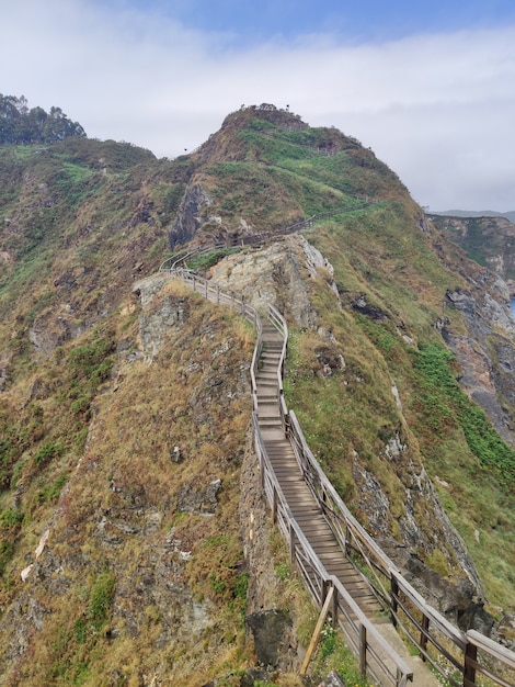 A wood road over the mountain