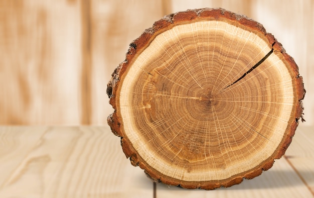 Wood round slice on desk