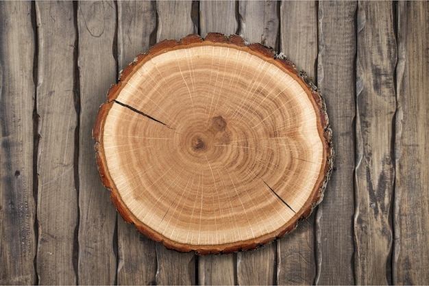 Wood round slice, isolated