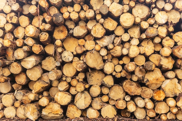 Wood of round timber stacked in a pile at the sawmill. Close-up. Background