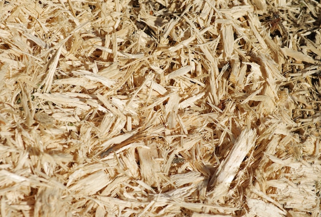 Wood sawdust texture material background closeup, top view
