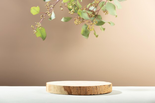 Wood Slice Podium on Beige Background 1