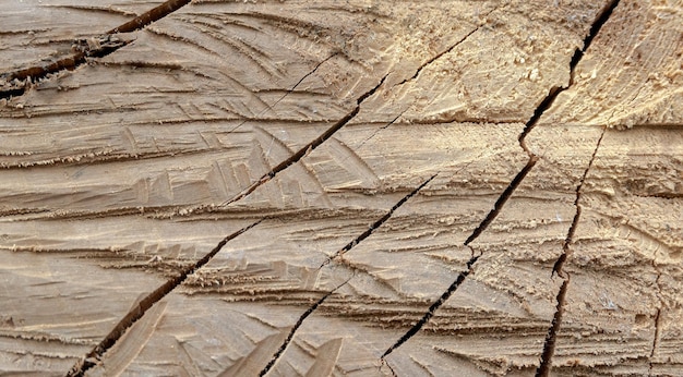 木構造の亀裂の古い木製の背景