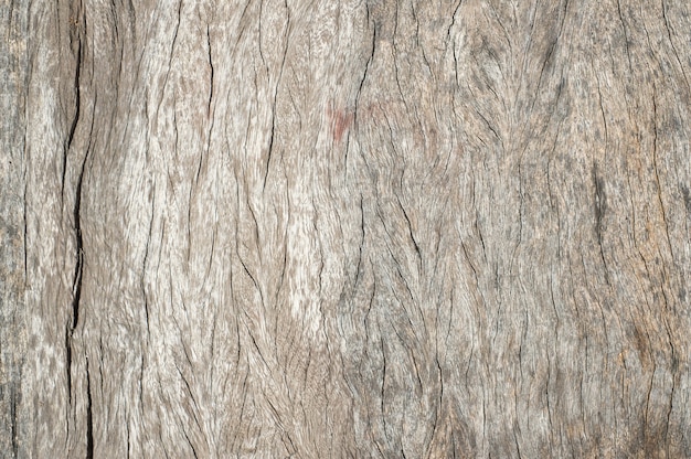 Wood surface   