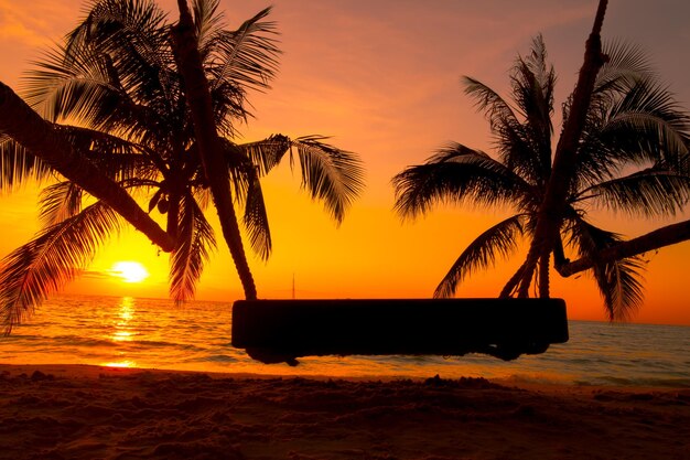 写真 トロピカルビーチの木のスイングとパームの木で,休暇のリラックスタイムでの旅行のための海上の日没