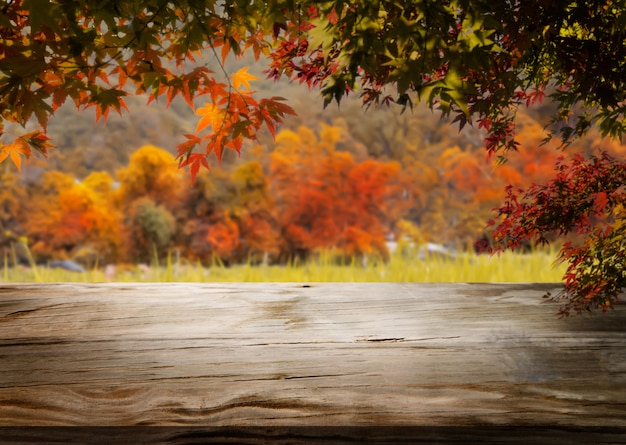 Priorità bassa di legno della tabella nel paesaggio di autunno con spazio vuoto.