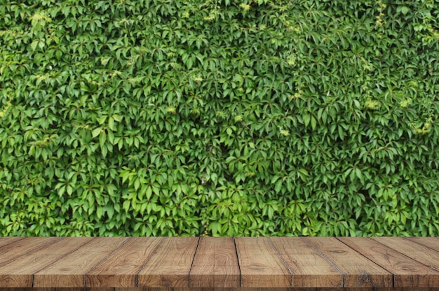 Wood table in front of leafs wall blur background with empty copy space for product