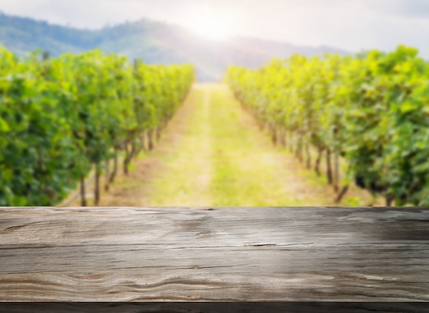 Wood table in the green spring vineyard landscape.