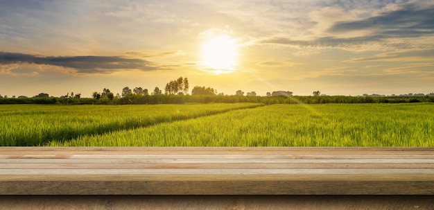 Wood table and rice field and sunrise blue sky with lens flare display montage for product