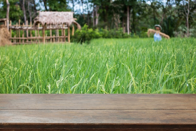 Wood table top and blurred rice field background - can used for display or montage your products.