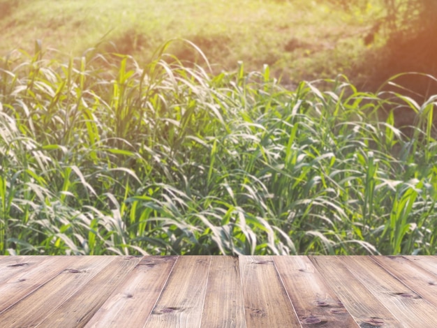 Wood table top over blurry green grass weed in the field with sunlight morning Montage style to display the product