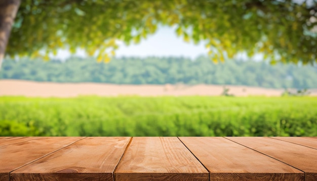 wood table with free space over green trees background