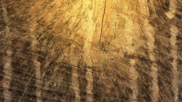 Wood texture abstract background