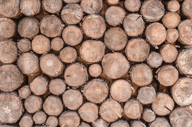 Wood texture background have many log that cut from 