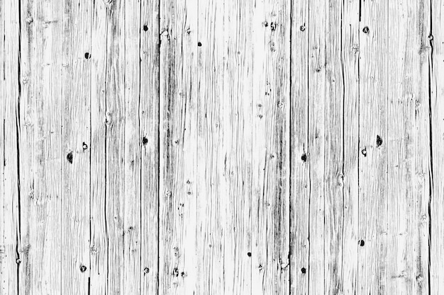 Wood texture. background old panels