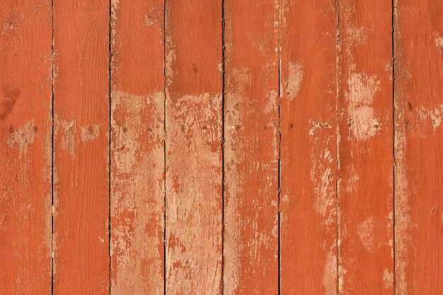 Wood texture. background old panels