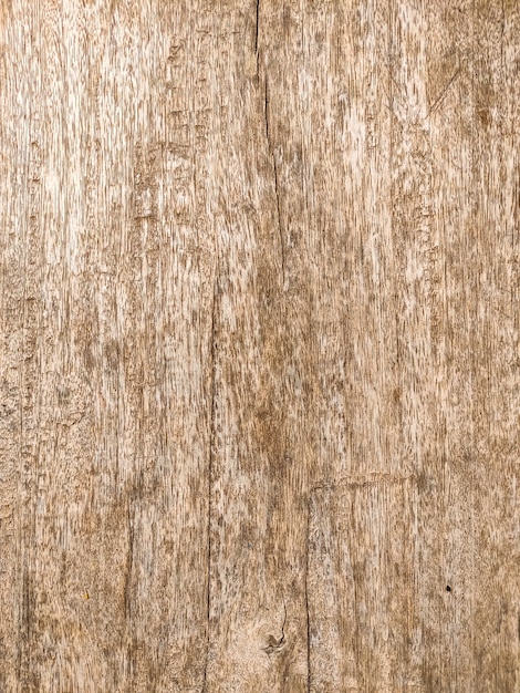 Wood texture background surface old natural pattern