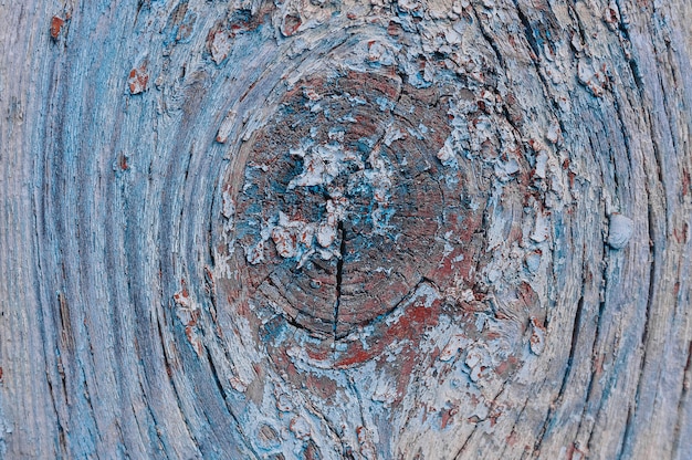 Wood texture background, top view wooden board