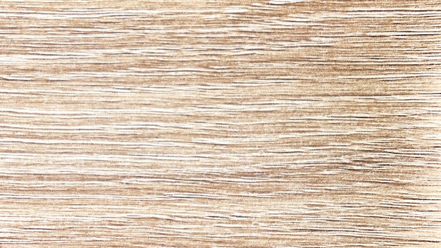 Wood texture background with natural patterns