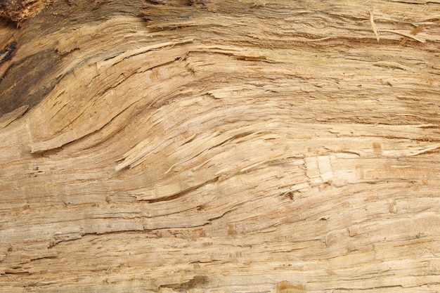 ウッド テクスチャ背景木製テーブル木材