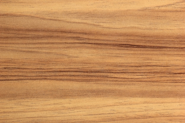 Photo wood texture background