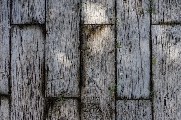 Sfondo di struttura in legno