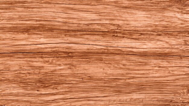 Photo wood texture background