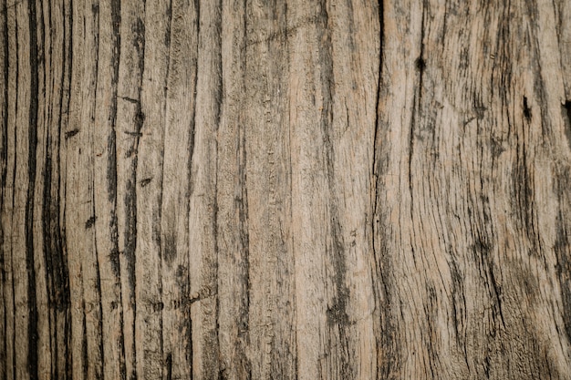 wood texture background.