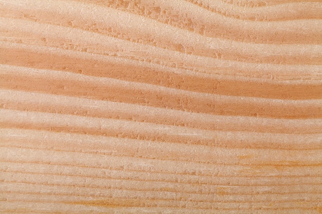 Photo wood texture background