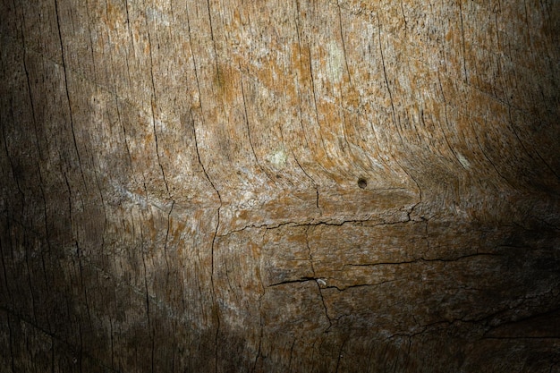 Wood texture background