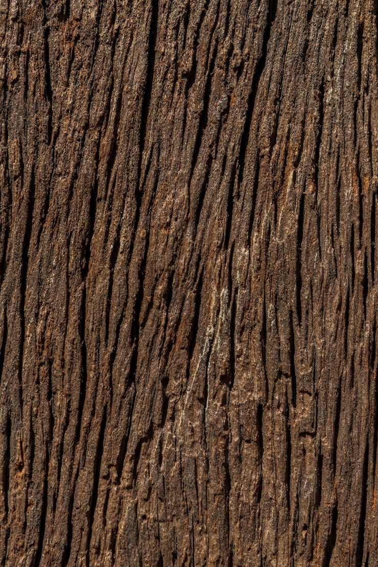 Photo wood texture for a background